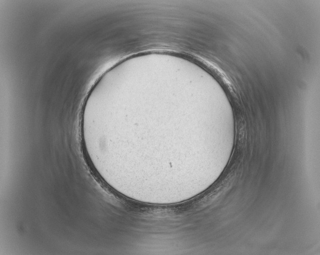 X0000115681375200912101124