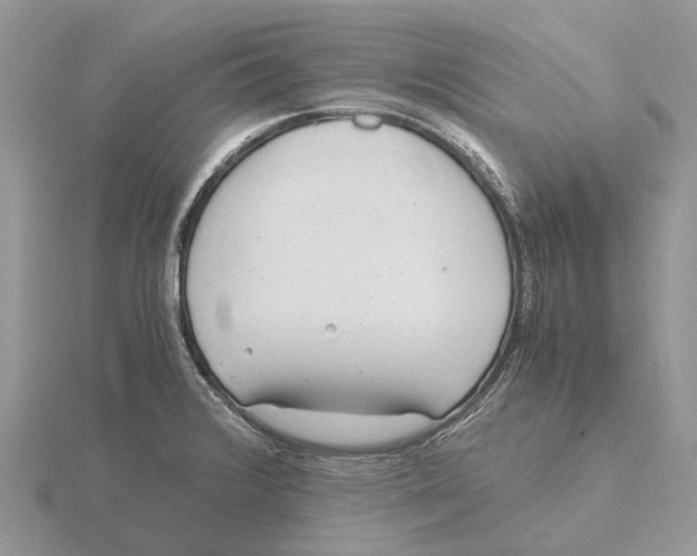 X0000115681376200912101124