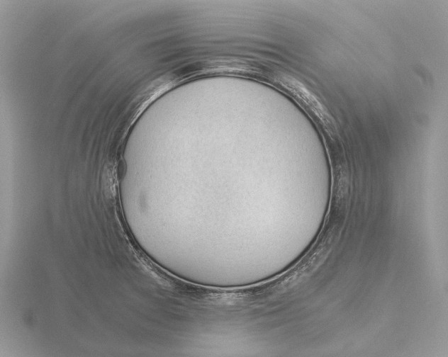 X0000115681377200912101124