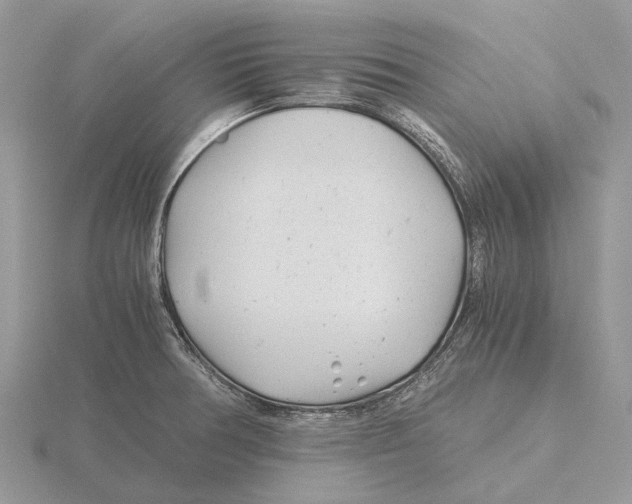 X0000115681378200912101124