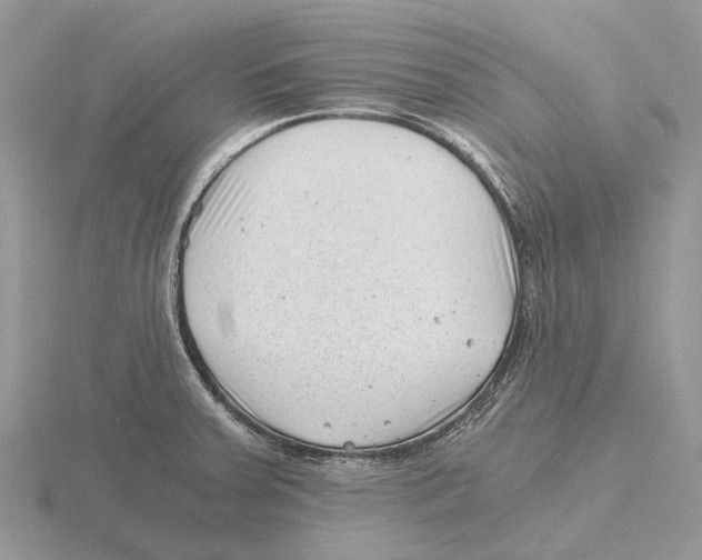 X0000115681379200912101124