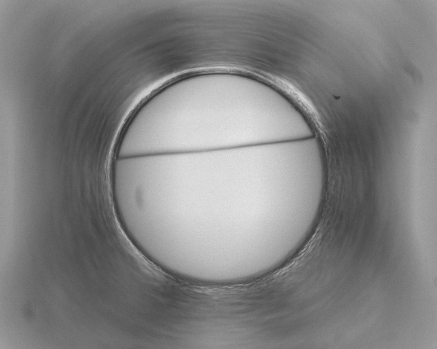 X0000115681380200912101124