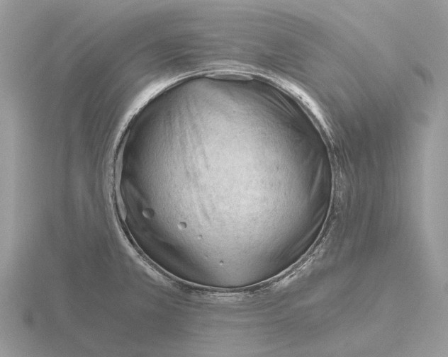 X0000115681381200912101124