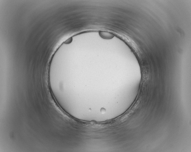 X0000115681382200912101124