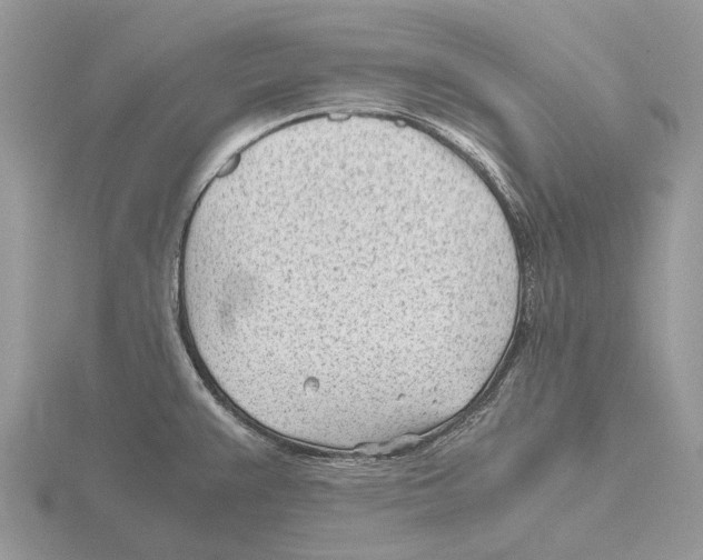 X0000115681383200912101124