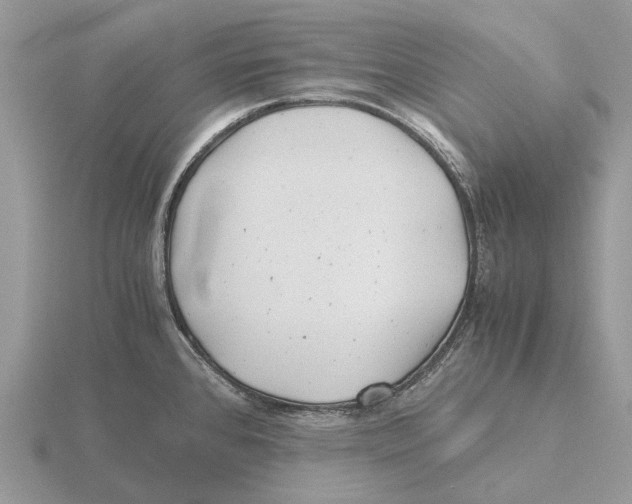 X0000115681384200912101124