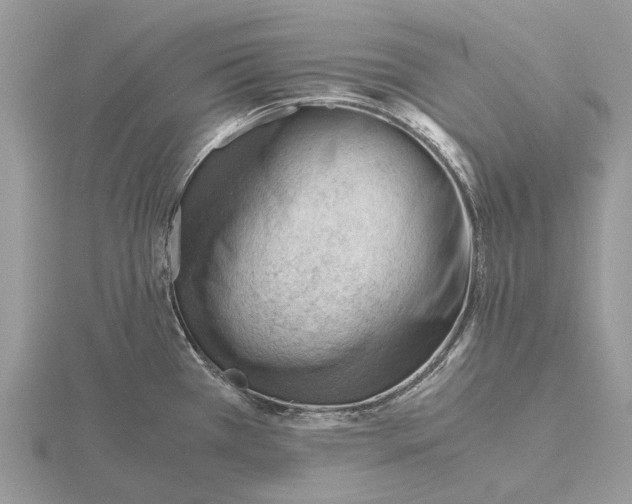 X0000115681385200912101124