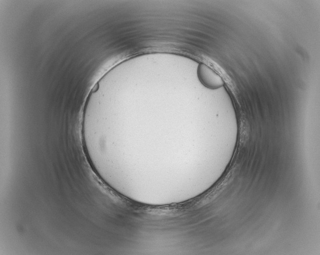 X0000115681386200912101124