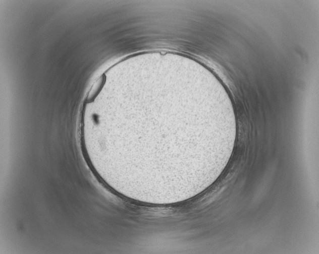 X0000115681387200912101124