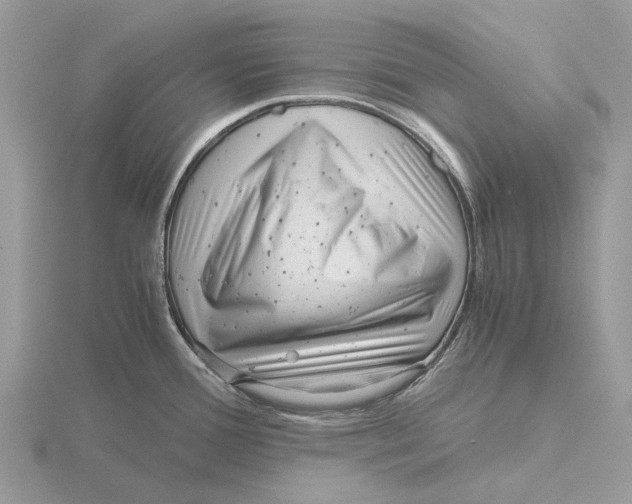 X0000115681388200912101124