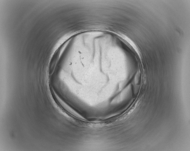 X0000115681389200912101124