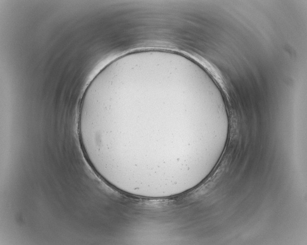 X0000115681390200912101124