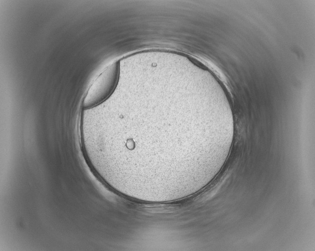 X0000115681391200912101124