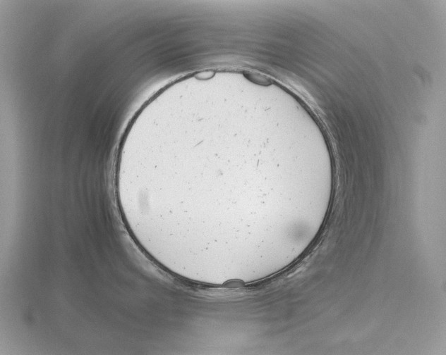 X0000115681392200912101124