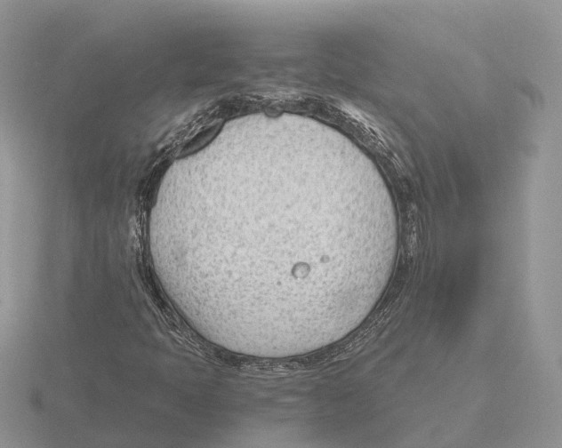 X0000115681397200912101124