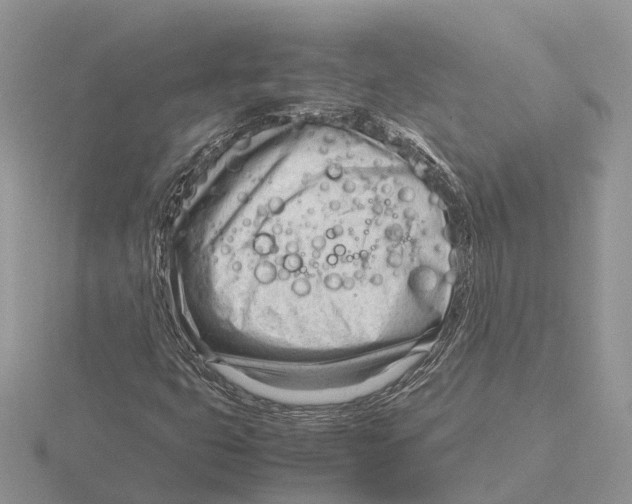 X0000115681399200912101124