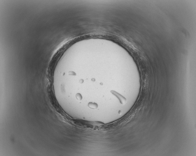 X0000115681400200912101124