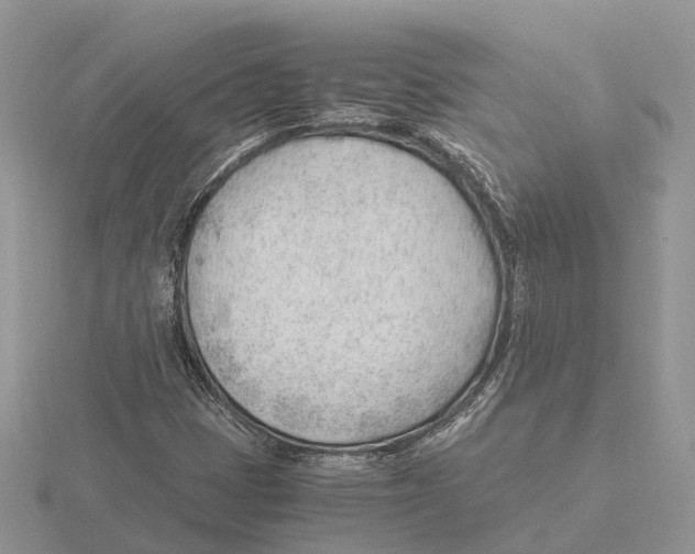 X0000115681401200912101124