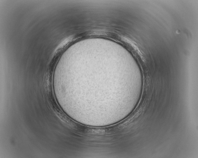 X0000115681403200912101124