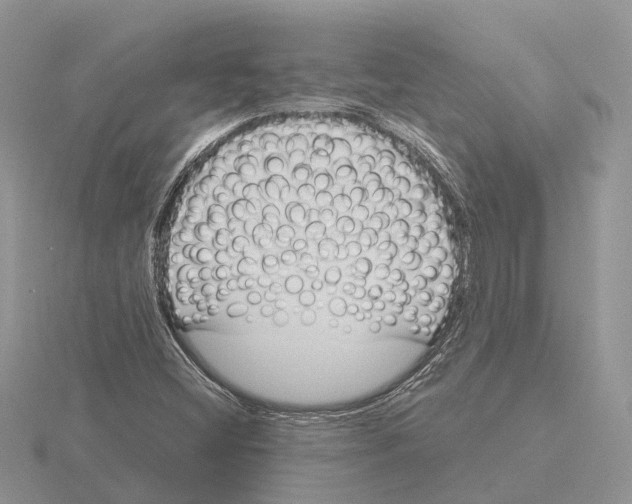 X0000115681404200912101124