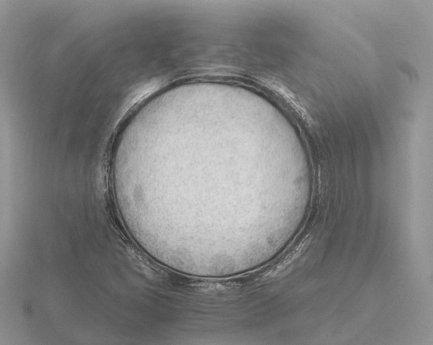 X0000115681405200912101124