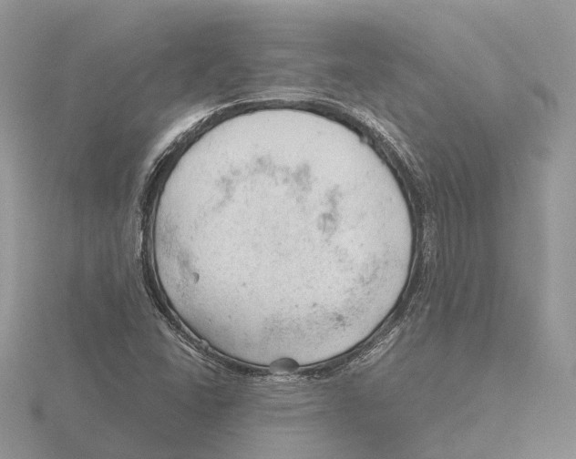 X0000115681406200912101124