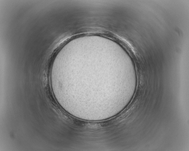 X0000115681407200912101124