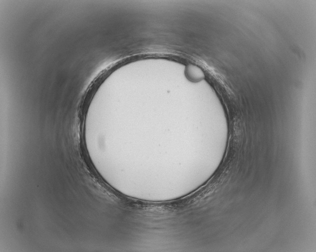 X0000115681408200912101124