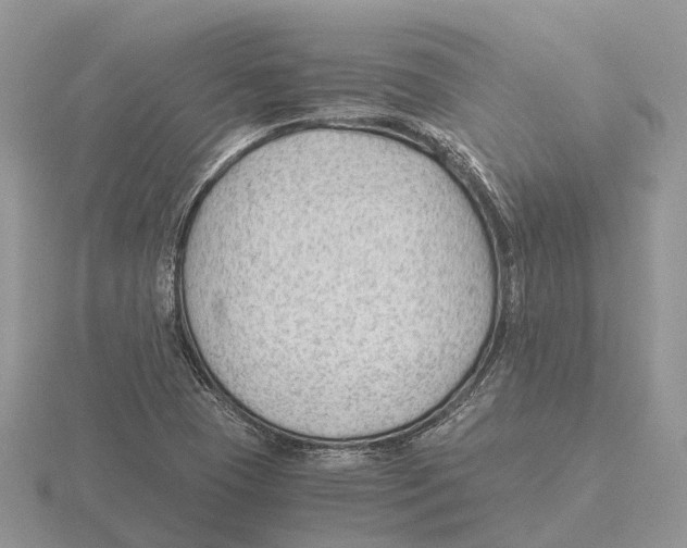 X0000115681409200912101124