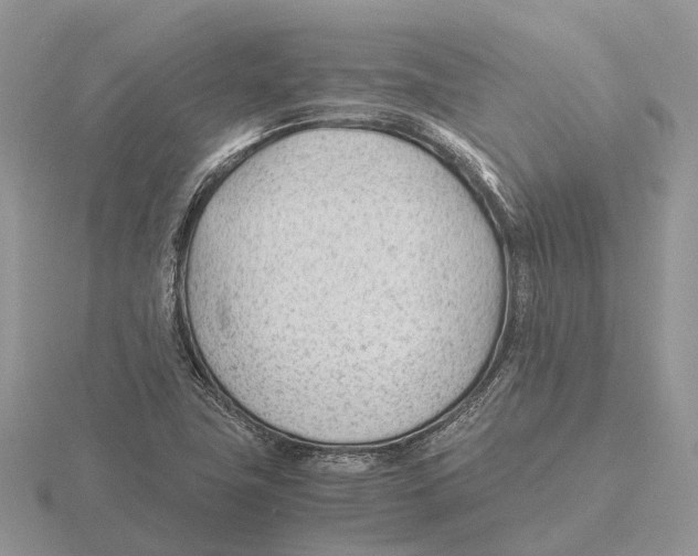 X0000115681411200912101124