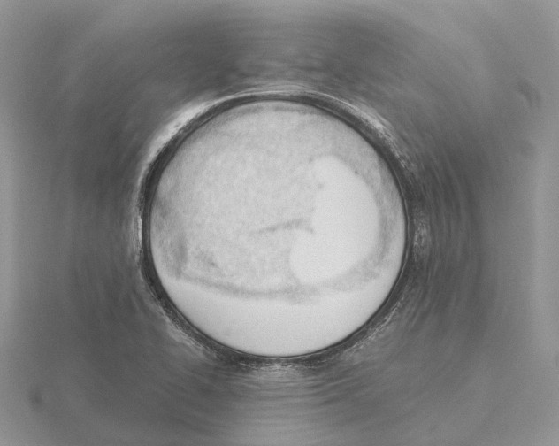 X0000115681414200912101124