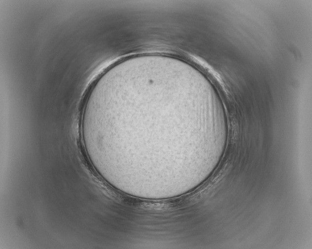 X0000115681415200912101124