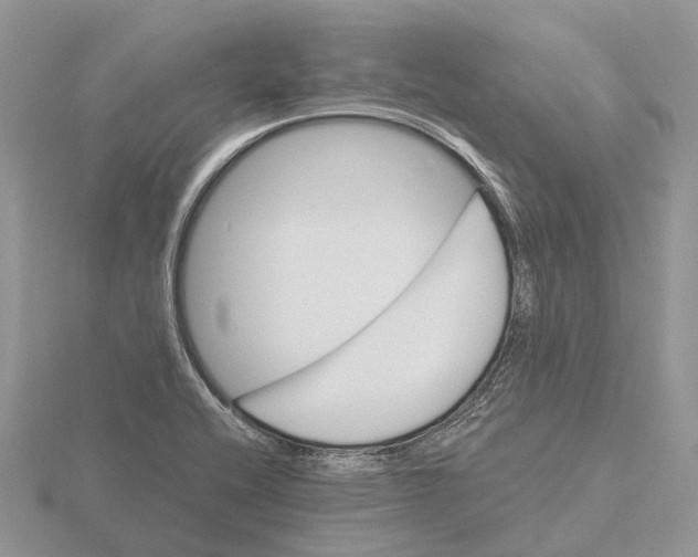 X0000115681416200912101124