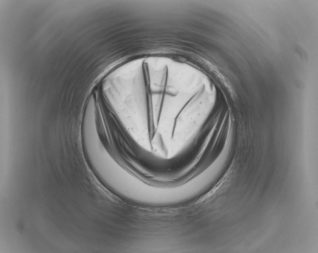 X0000115681417200912101124