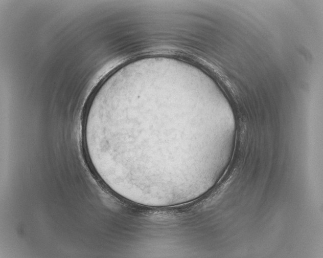 X0000115681418200912101124