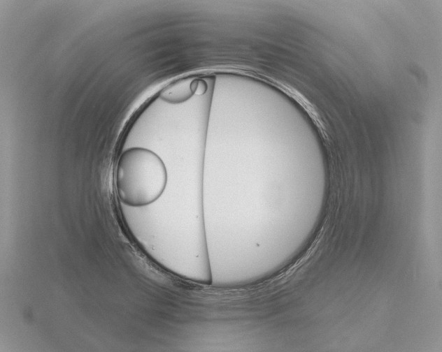 X0000115681420200912101124