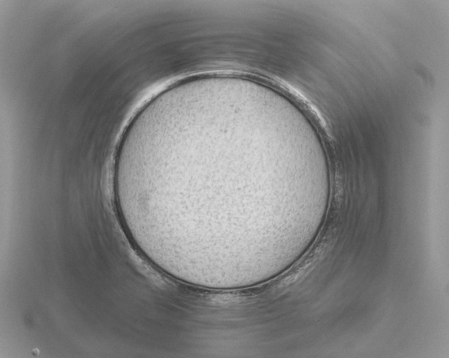 X0000115681421200912101124