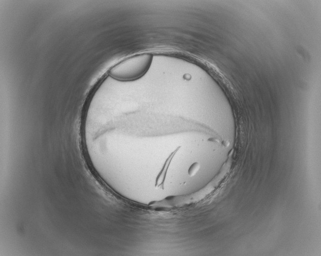 X0000115681422200912101124