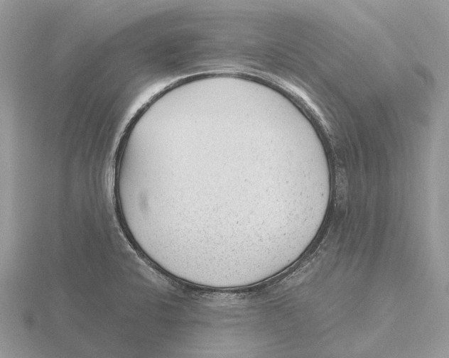 X0000115681424200912101124