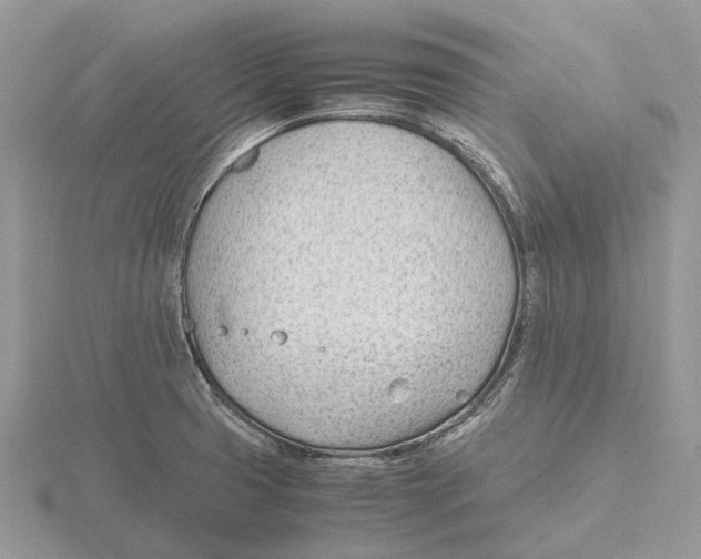 X0000115681425200912101124