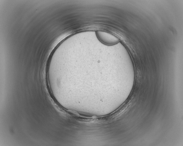 X0000115681426200912101124