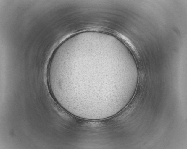 X0000115681427200912101124