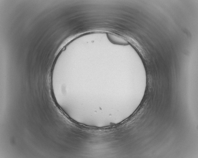 X0000115681428200912101124