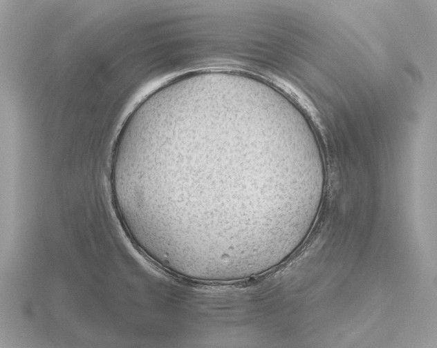 X0000115681429200912101124