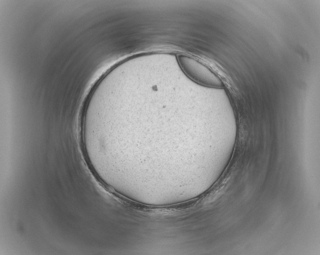 X0000115681430200912101124