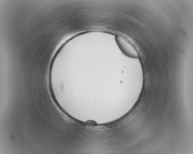 X0000115681432200912101124