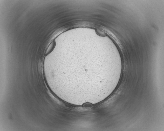 X0000115681433200912101124