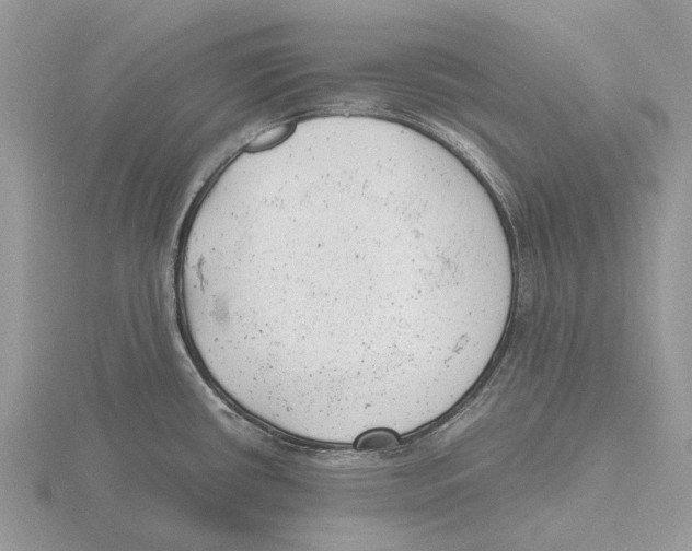 X0000115681434200912101124