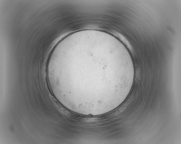 X0000115681435200912101124