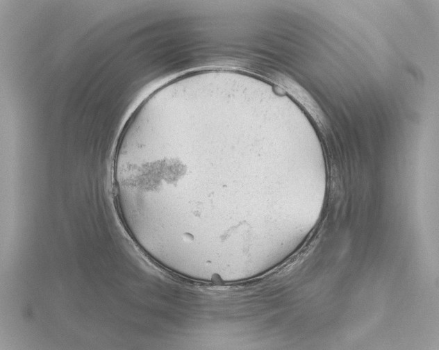 X0000115681436200912101124